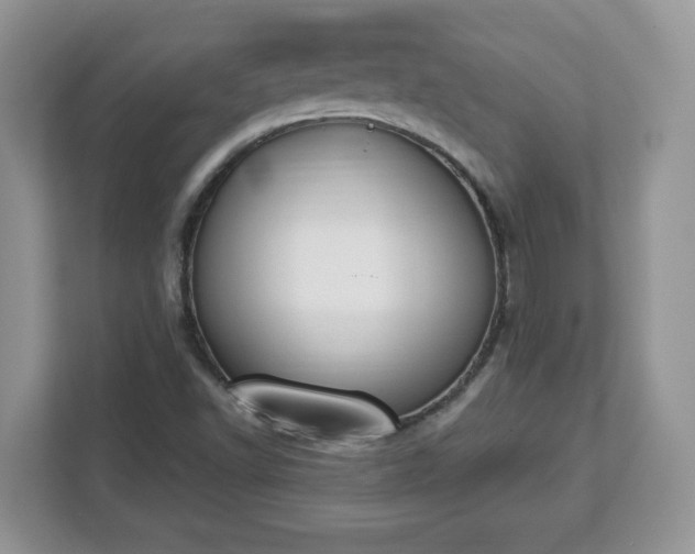 X0000112841502200908281541