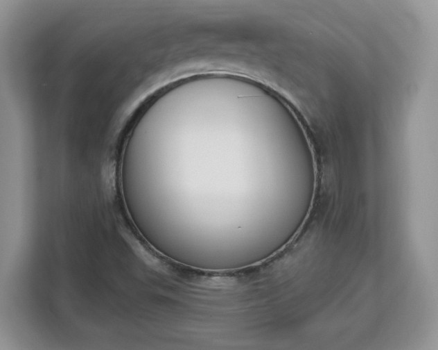 X0000112841503200908281541