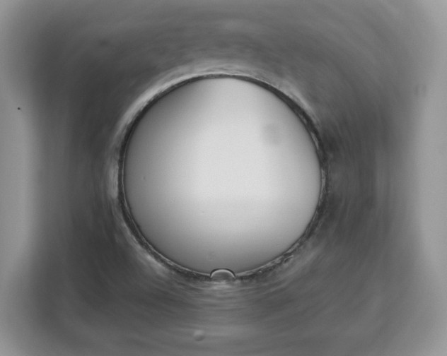 X0000112841504200908281541