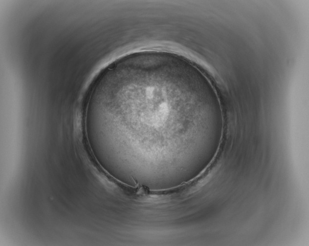 X0000112841506200908281541