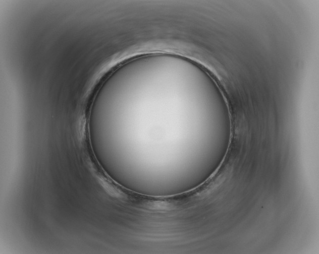 X0000112841507200908281541