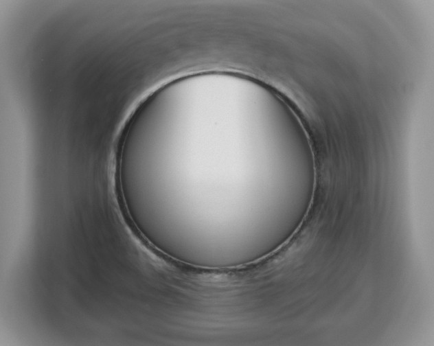 X0000112841508200908281541