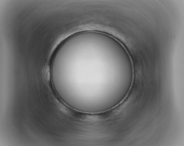 X0000112841509200908281541