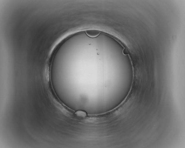 X0000112841510200908281541