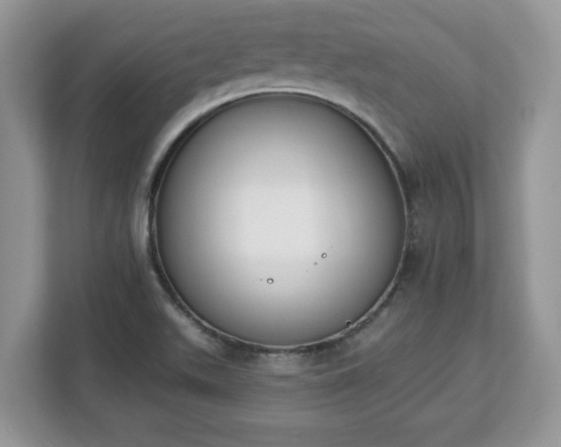 X0000112841511200908281541