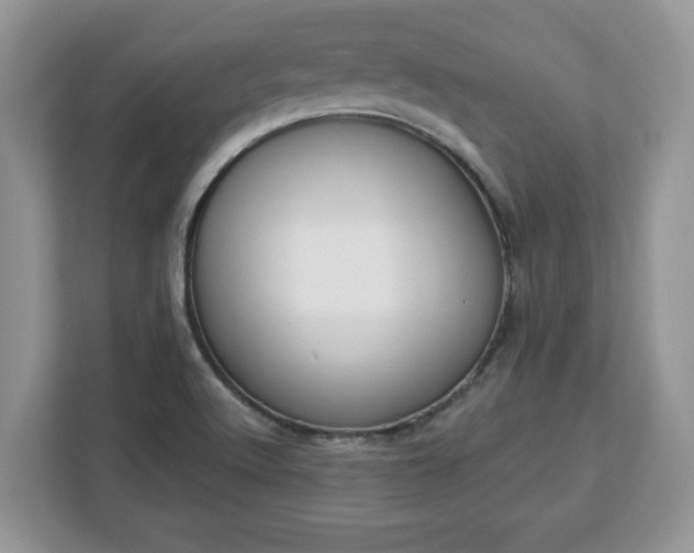 X0000112841512200908281541