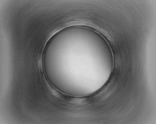 X0000112841513200908281541