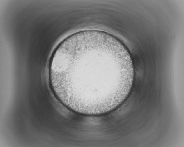 X0000112841514200908281541