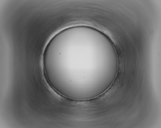 X0000112841516200908281541