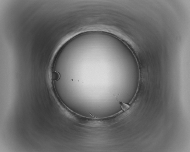 X0000112841517200908281541