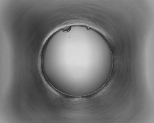 X0000112841518200908281541