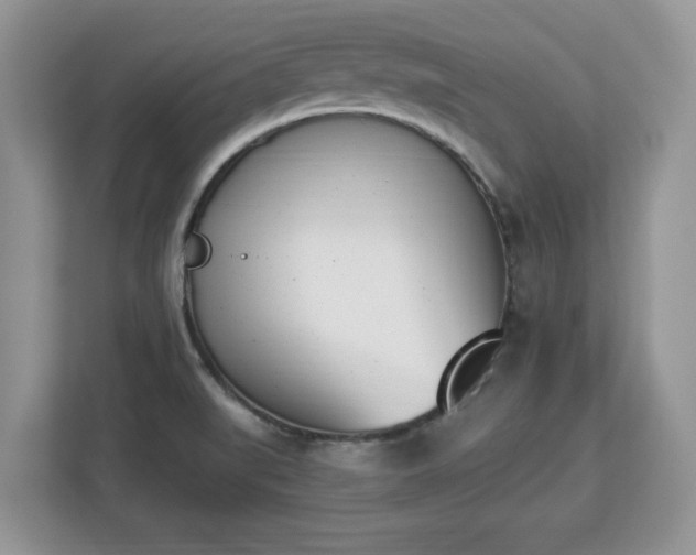 X0000112841519200908281541