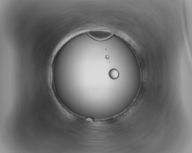 X0000112841520200908281541