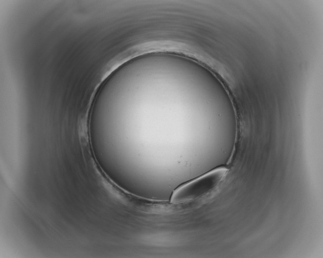 X0000112841521200908281541