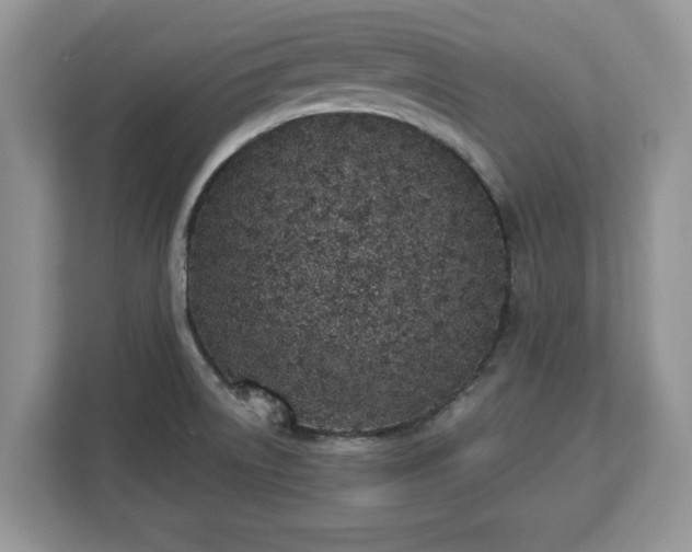 X0000112841522200908281541