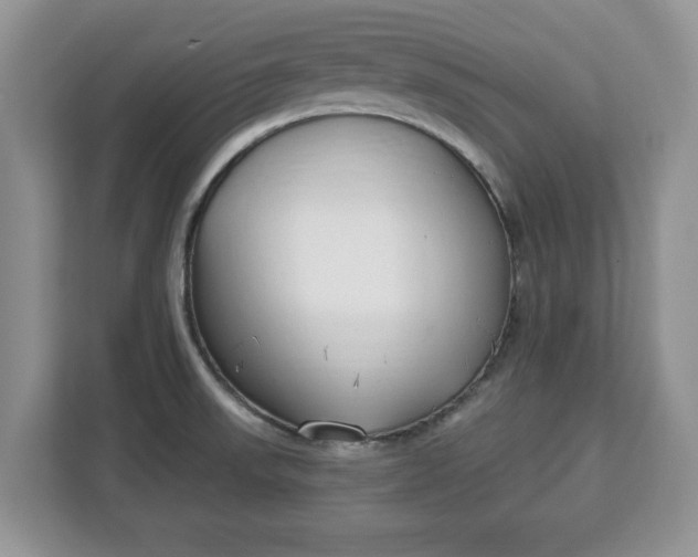 X0000112841523200908281541