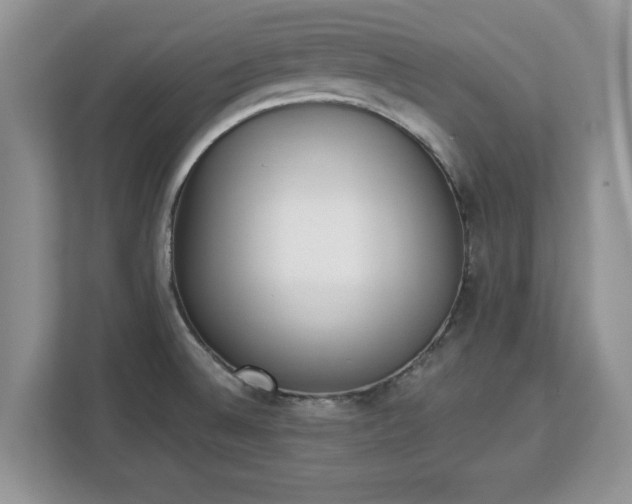 X0000112841524200908281541