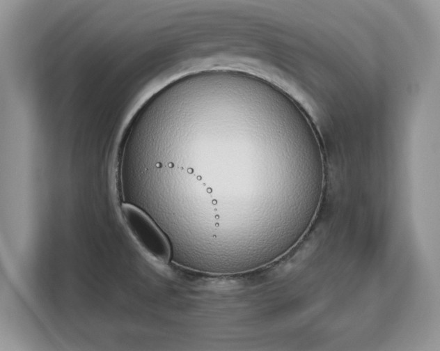 X0000112841525200908281541