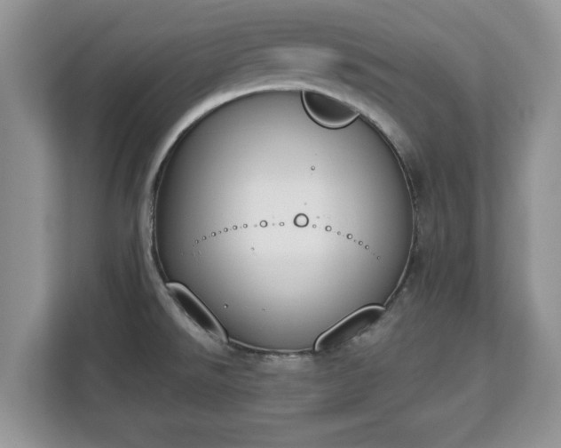 X0000112841526200908281541