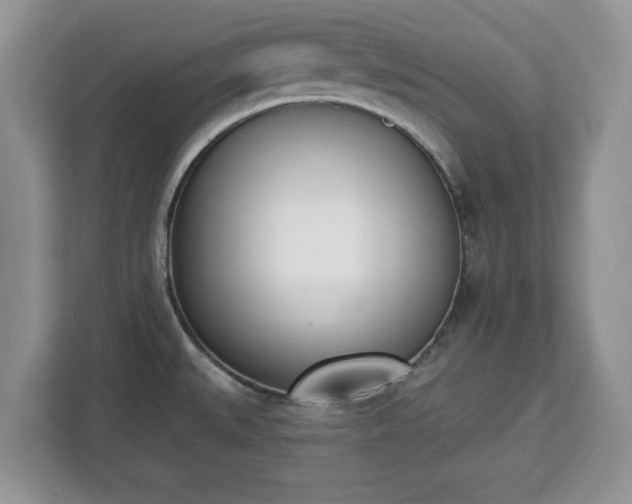 X0000112841527200908281541