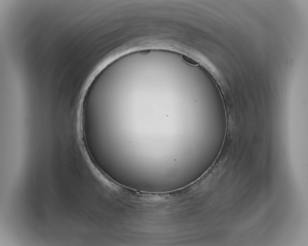 X0000112841528200908281541