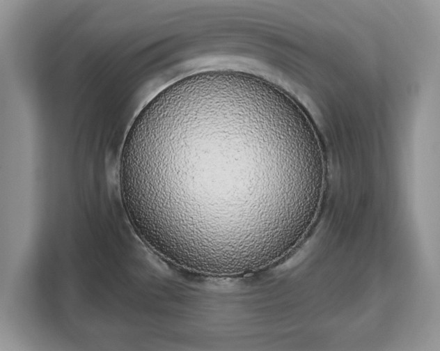 X0000112841529200908281541