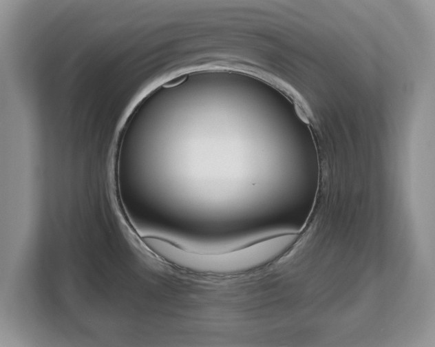 X0000112841530200908281541