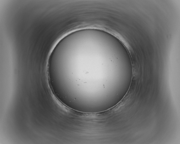 X0000112841532200908281541