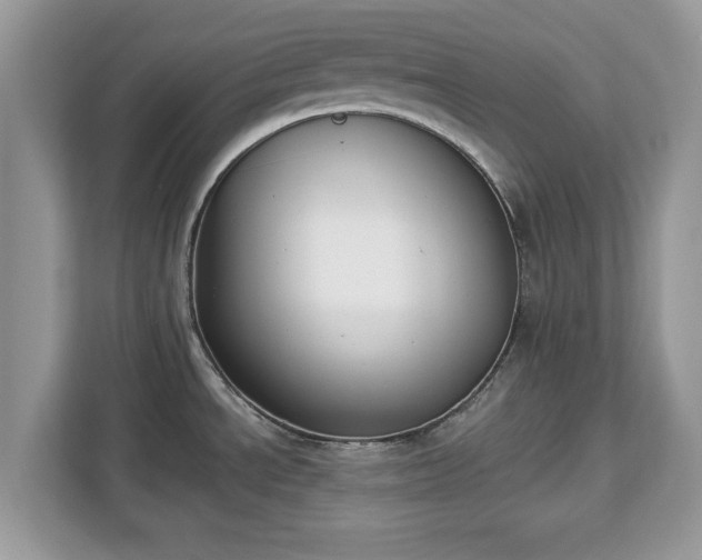 X0000112841534200908281541