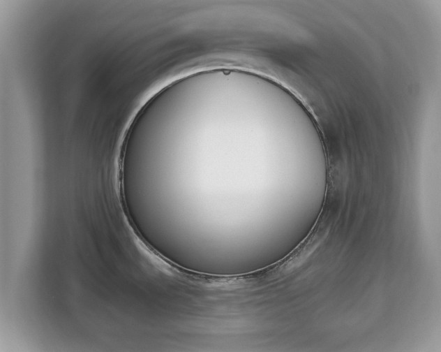 X0000112841535200908281541