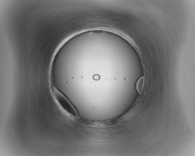 X0000112841536200908281541