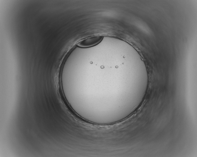 X0000112840002200909041532