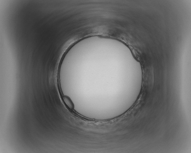 X0000112840003200909041532