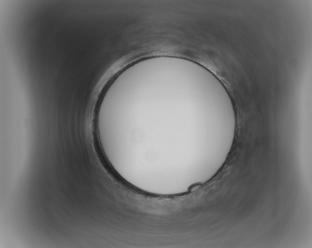 X0000112840007200909041532