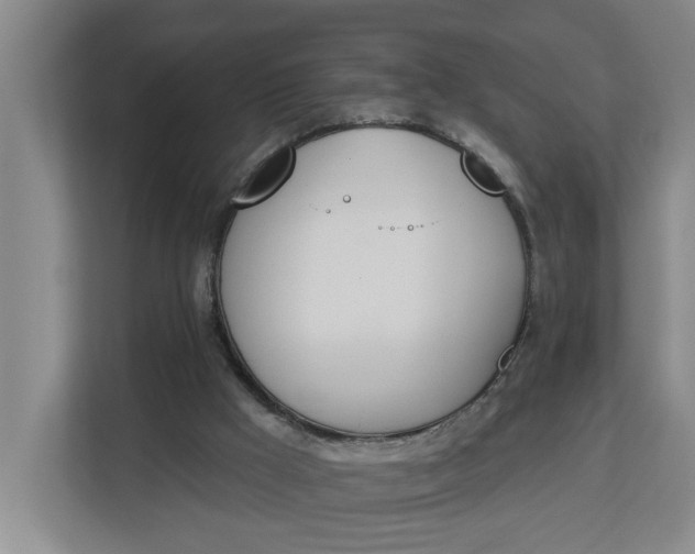 X0000112840009200909041532