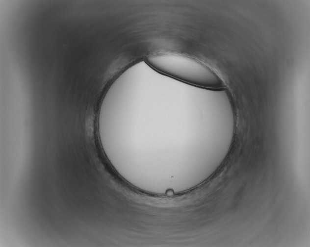 X0000112840010200909041532