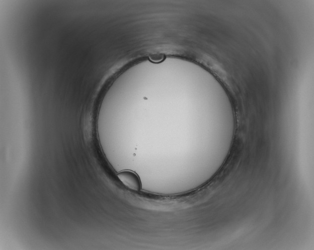 X0000112840012200909041532