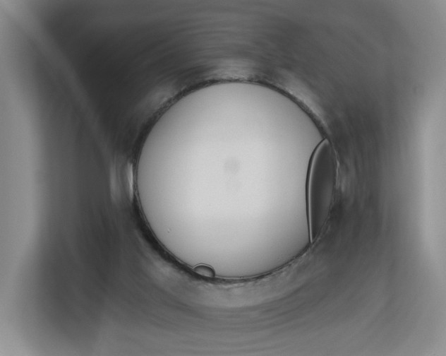 X0000112840013200909041532