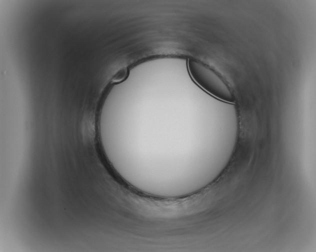 X0000112840015200909041532