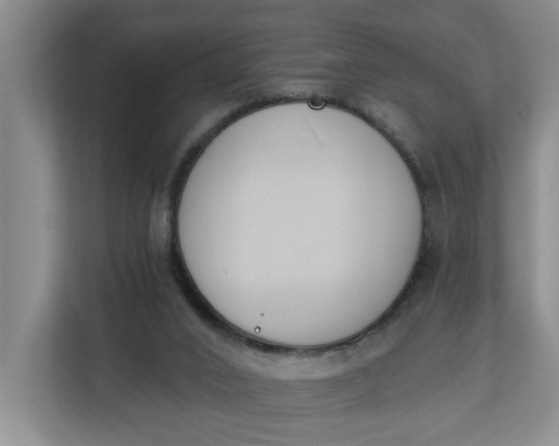 X0000112840016200909041532