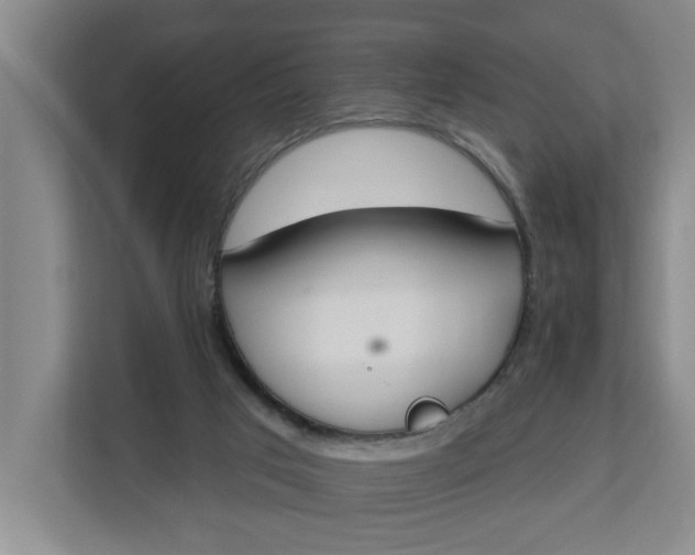 X0000112840017200909041532