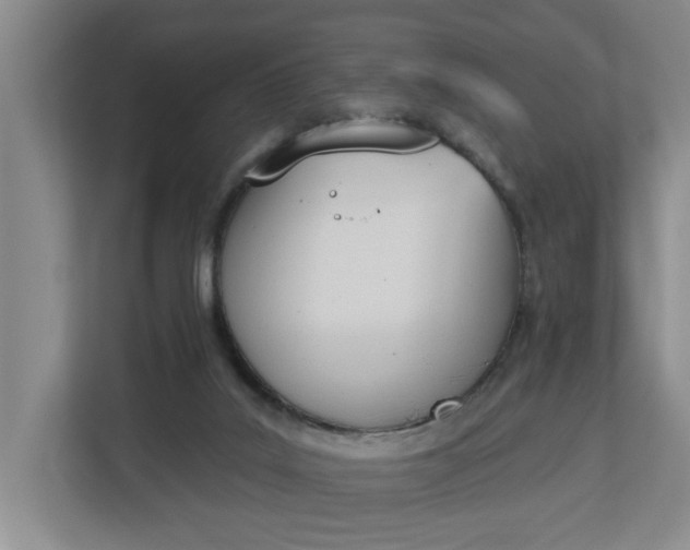 X0000112840019200909041532