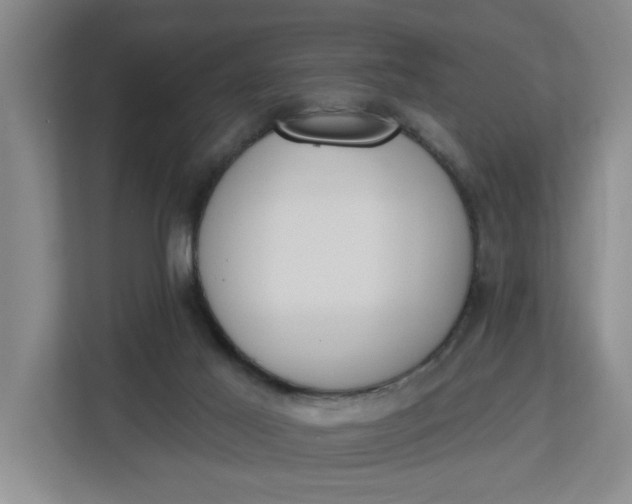 X0000112840021200909041532