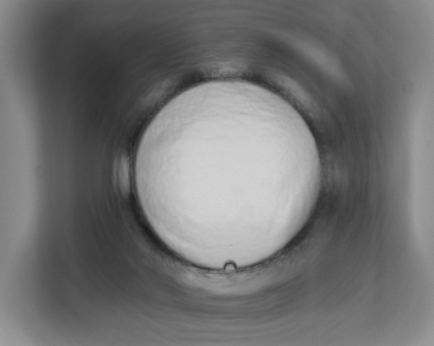 X0000112840022200909041532