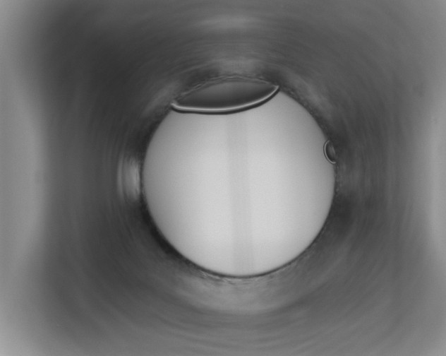 X0000112840027200909041531