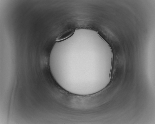 X0000112840033200909041531