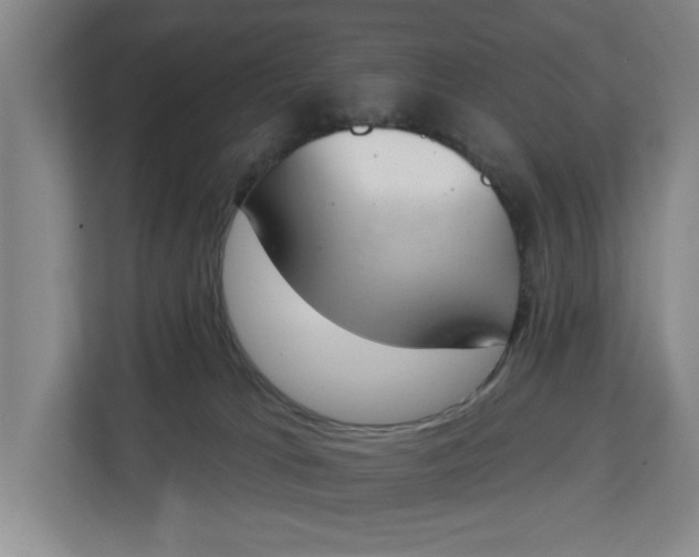 X0000112840037200909041531