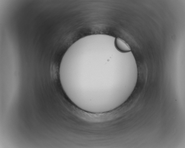 X0000112840038200909041531