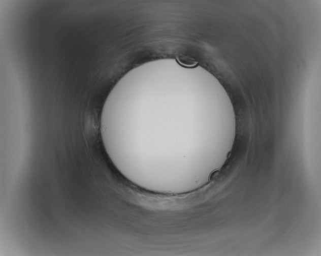 X0000112840040200909041531