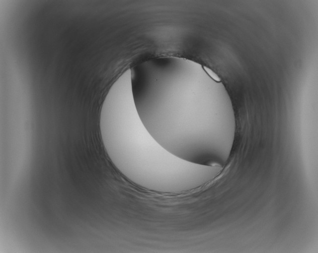 X0000112840041200909041531